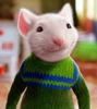 stuart