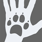 Imasoft